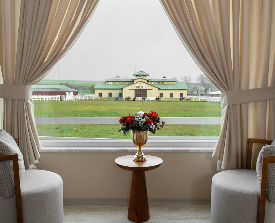 House of Olimpos Suit Jakuzili ve Şömineli Oda